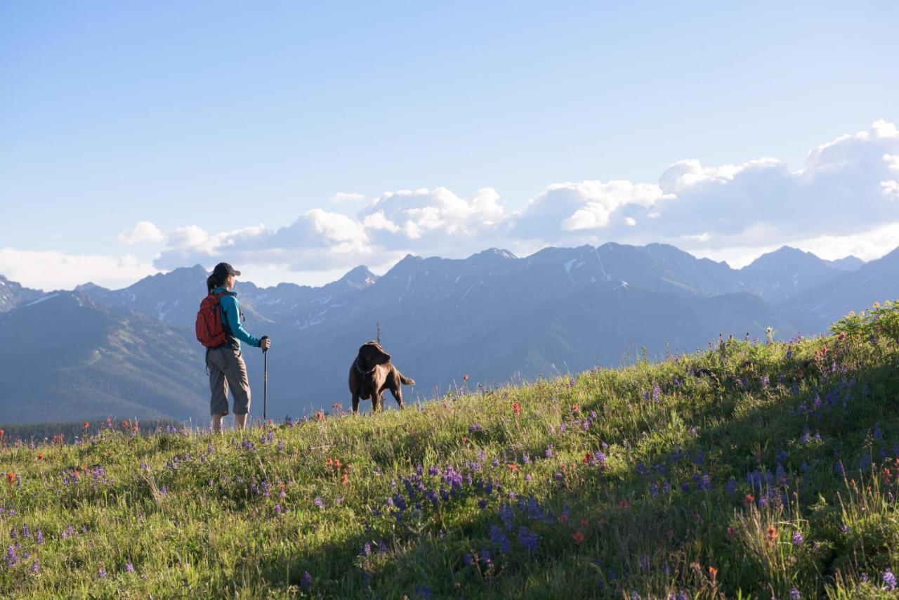 Lift House Lodge, Pet Friendly *